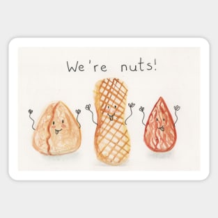 We're nuts Sticker
